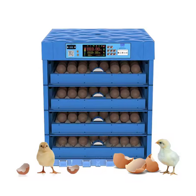 256 EGGS INCUBATOR