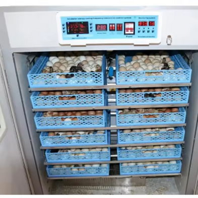 1056 EGGS INCUBATOR